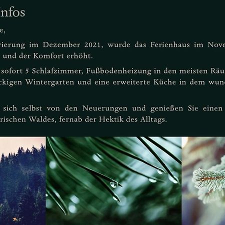 Ferienhaus Bayerischer Wald Regen Εξωτερικό φωτογραφία